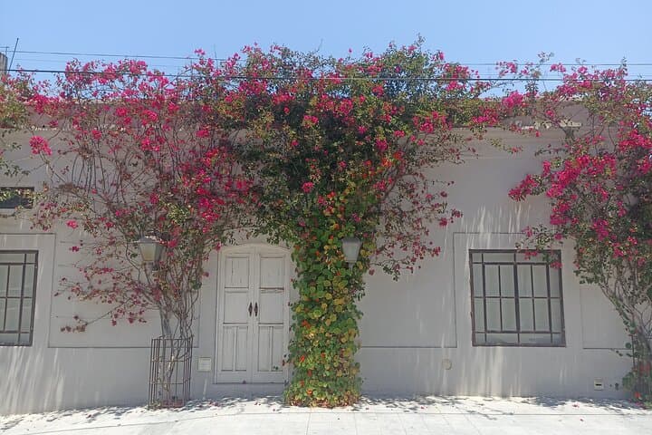 Todos Santos Treasure Hunt: Self-Guided Walking Scavenger in Baja's Historic Art Town photo 4