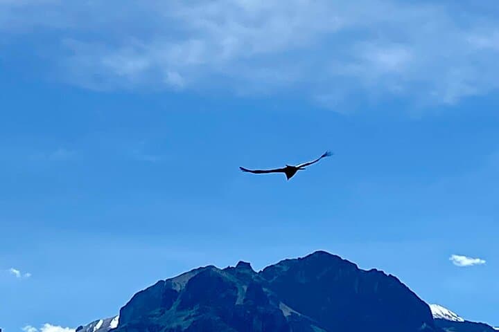 Private 3-Day Colca Canyon Hiking Tour — Sangalle Oasis & Cabanaconde photo 2