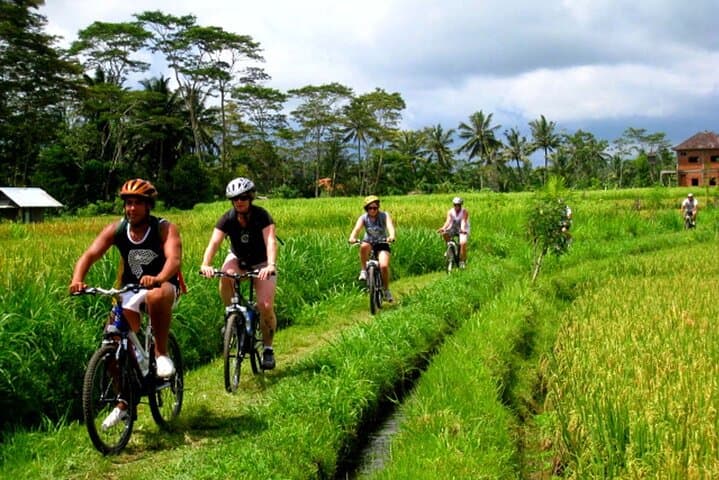 Ubud Village Cycling: Private Downhill Ride Through Rice Fields