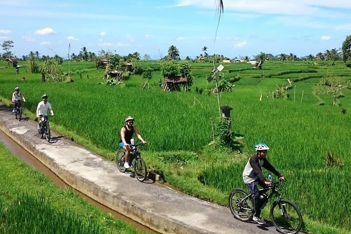 Ubud Village Cycling: Private Downhill Ride Through Rice Fields photo 2