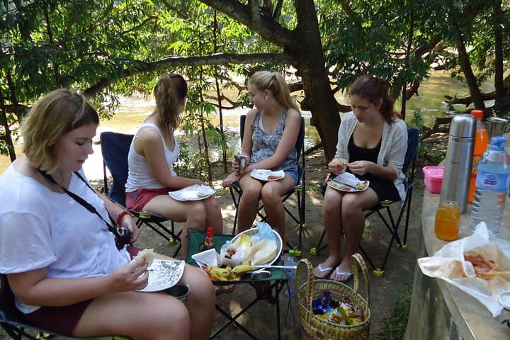 3-Day Private Safari in Yala National Park: Leopard, Elephant & Birdwatching Experience photo 6