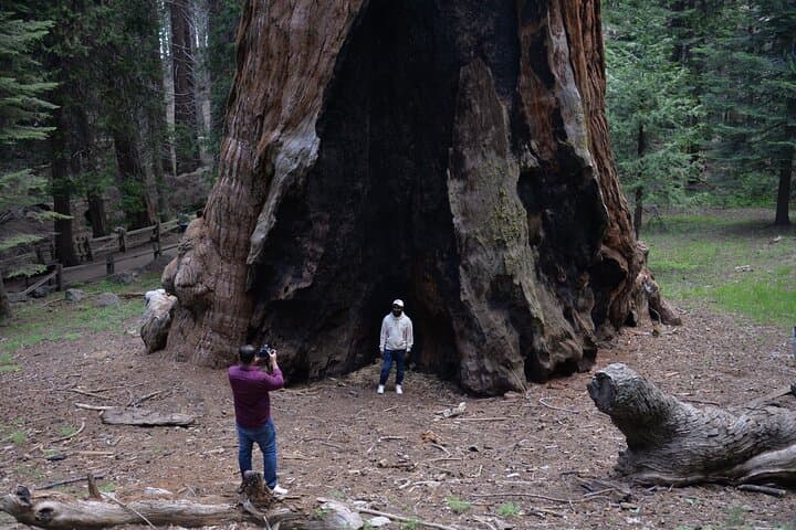 Sunset and Giant Sequoias: Private Day Tour to Sequoia & Kings Canyon from LA photo 5