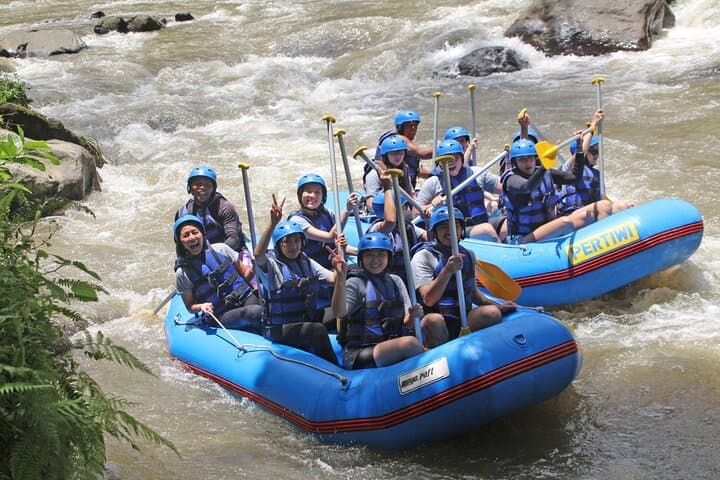 Full-Day Ubud Rafting & Ubud Tour — Ayung River Adventure, Monkey Forest & Rice Terraces photo 5