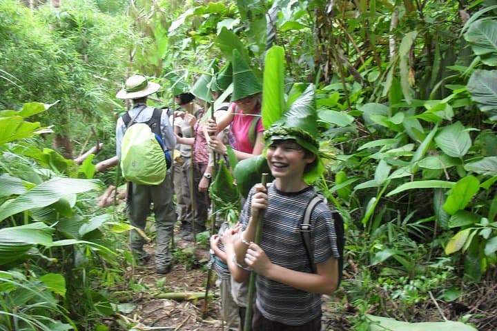 Full-Day Trekking and Bamboo Cooking Tour near Chiang Rai