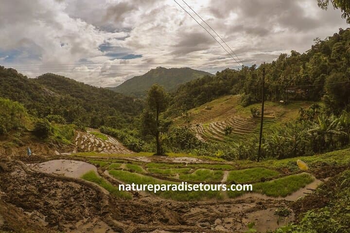 Knuckles Spice Trail Trek from Kandy — Day Hike Through Cloud Forest, Waterfalls & Village Spice Gardens