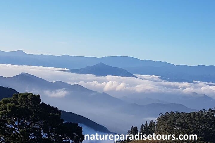 Knuckles Mountain Camping Tour from Kandy — 2-Day Trek & Overnight Base Camp