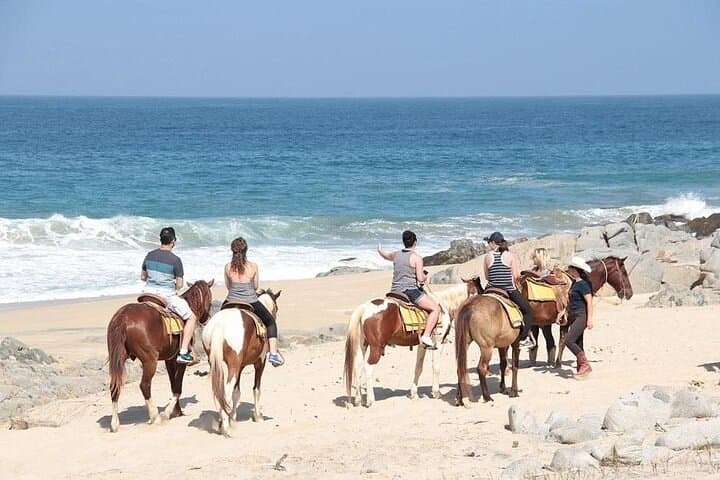 Cabo 3-Day Play Pass — Flexible ATV, Horseback & Camel Adventures photo 3