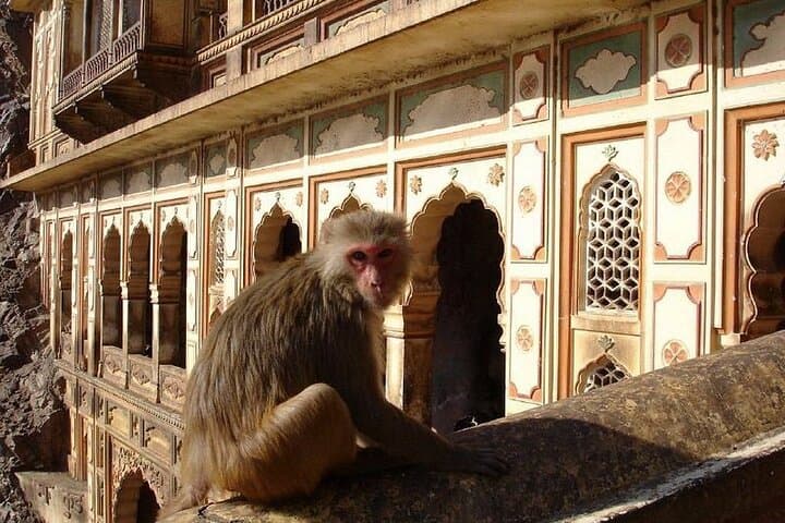 Private Jaipur Sightseeing Tour: Explore the Pink City's Palaces & Forts photo 3