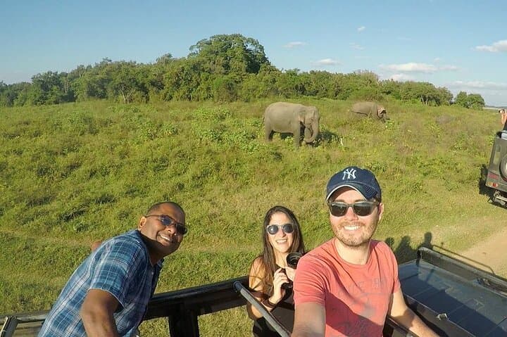 12-Day Sri Lanka Discovery: Ancient Cities, Tea Country & Wildlife Safaris photo 2
