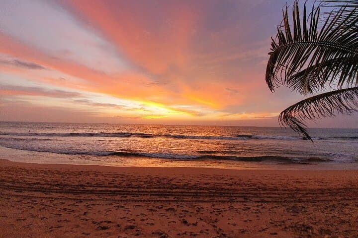 12-Day Sri Lanka Discovery: Ancient Cities, Tea Country & Wildlife Safaris photo 5