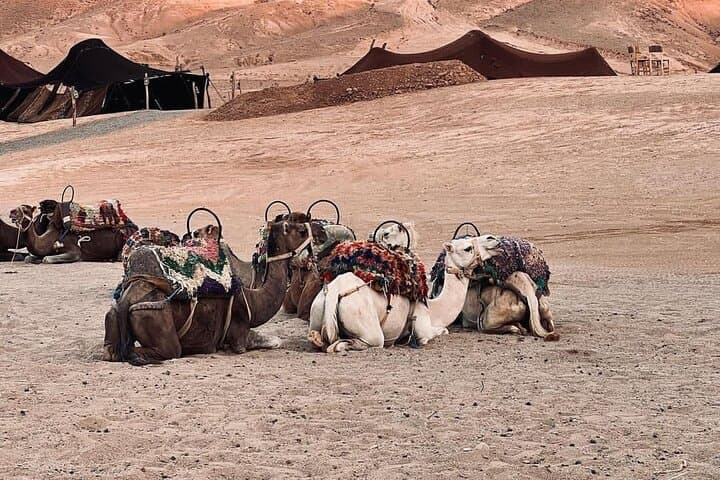 Agafay Desert and Ourika Valley: Full-Day Atlas Mountains Excursion from Marrakech photo 4