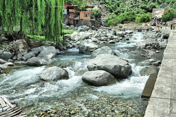 Agafay Desert and Ourika Valley: Full-Day Atlas Mountains Excursion from Marrakech photo 5