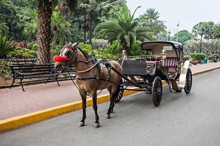 Cairo After Dark: Horse Carriage Ride & Downtown Night Walk photo 5