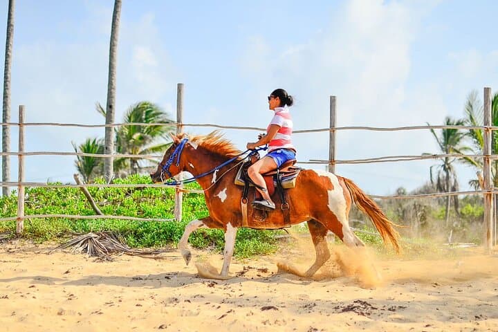 Discover Tranquility: Sunset Horseback Riding in Punta Cana photo 2