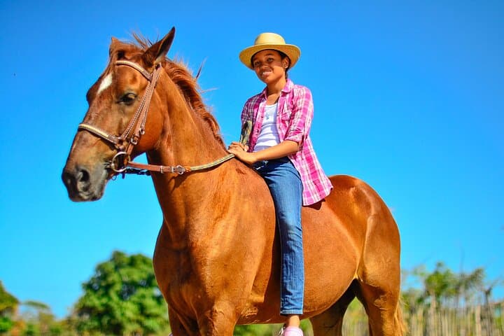Discover Tranquility: Sunset Horseback Riding in Punta Cana photo 3