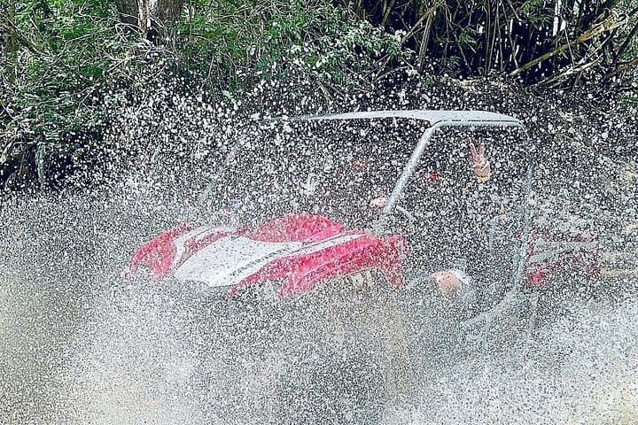50-Minute UTV Adventure in Naguabo — Off-Road Ride with El Yunque Views photo 1