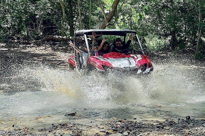 50-Minute UTV Adventure in Naguabo — Off-Road Ride with El Yunque Views photo 2