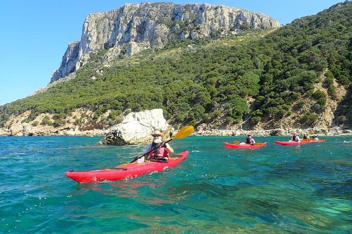 Sea Kayak Capo Figari: 3-Hour Beginner Tour from Golfo Aranci