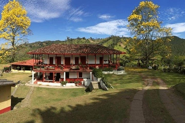 Cocora Valley & Salento Day Tour with Coffee Farm — From Pereira or Armenia photo 2