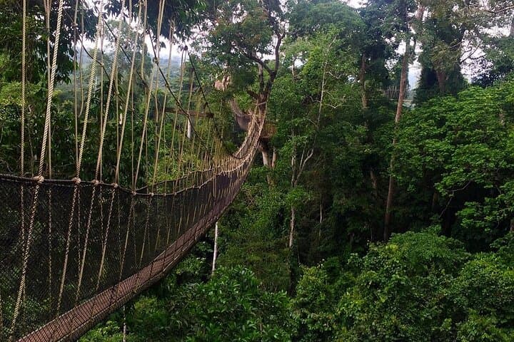 Kakum Canopy and Cape Coast Castle: Private Day Tour from Accra photo 2