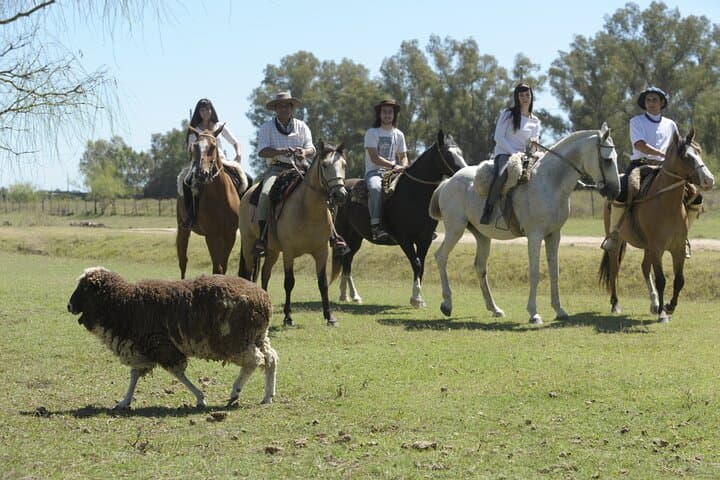 Full-Day Gaucho Horseback Ride into the Argentine Pampas from Buenos Aires photo 4