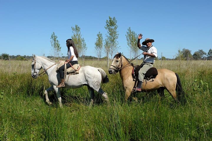 Full-Day Gaucho Horseback Ride into the Argentine Pampas from Buenos Aires photo 1