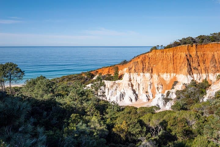 Highlights of Eden: 2-Hour Coastal Tour from Port of Eden photo 6