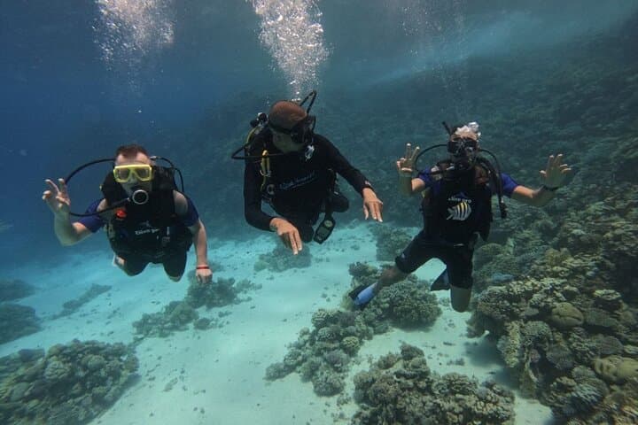 Red Sea Scuba Diving in Hurghada — 2-Stop Boat Dive with Lunch photo 4
