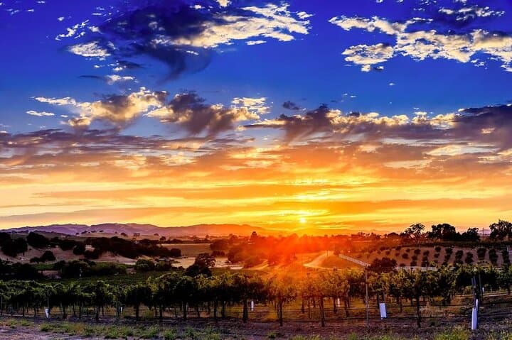 Discovery Flight Over Paso Robles Wine Country — 30-Minute Private Plane Experience photo 4