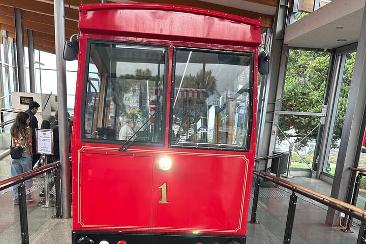 Wellington City Heights Shared Sightseeing Tour — Cable Car, Weta Cave & Coastal Views photo 4
