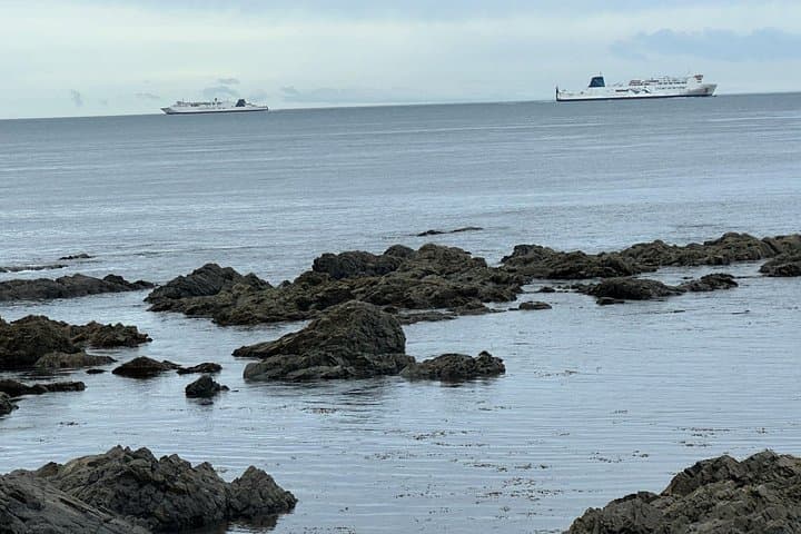 Wellington City Heights Shared Sightseeing Tour — Cable Car, Weta Cave & Coastal Views photo 3