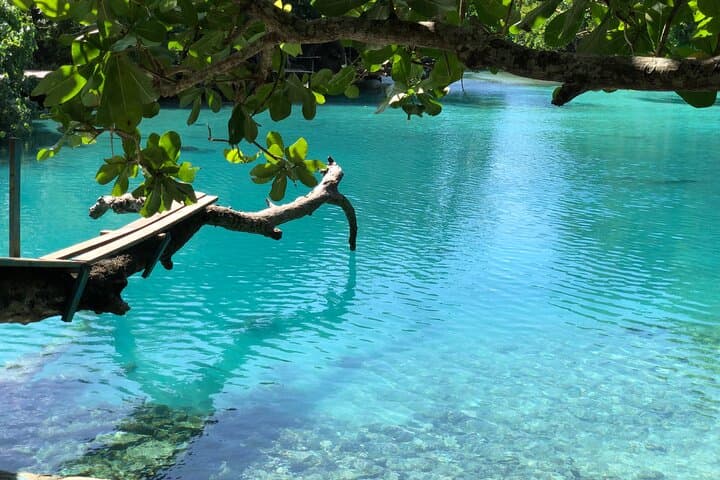 Blue Lagoon Express Bus: Half-Day Swim & Rope-Swing Escape from Port Vila photo 5