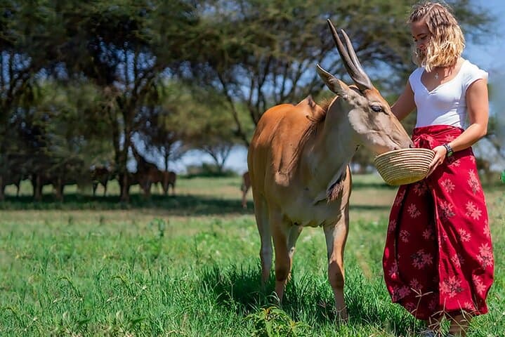 Serval Wildlife, Materuni Waterfall & Coffee Tour — 2-Day Kilimanjaro Village Experience photo 1