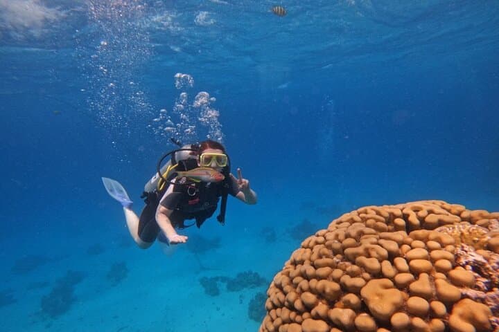 Red Sea Scuba Diving in Hurghada — 2-Stop Boat Dive with Lunch photo 5