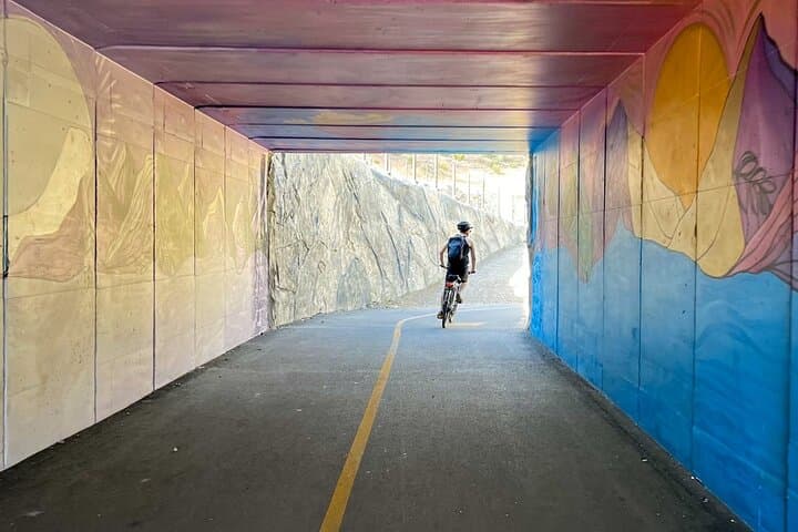 Explore Lake Tahoe on Two Wheels: A Self-Guided Full Day Bike Tour photo 3