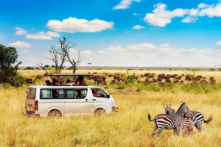 7-Day Private Kenya Safari: Maasai Mara, Amboseli & Tsavo Wildlife Circuit photo 1