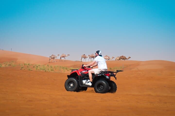 Red Dunes Quad Bike & Evening Desert Safari with BBQ and Live Shows in Dubai photo 3