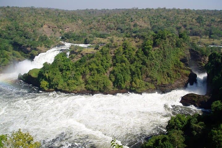 7-Day Private Uganda Safari: Murchison, Queen Elizabeth, Kibale & Mgahinga photo 2