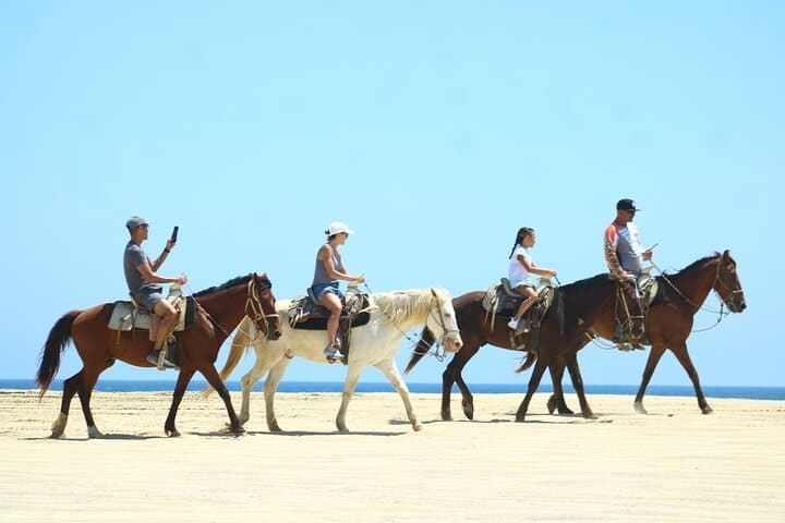 Ride Cabo’s White‑Sand Beaches: 2‑Hour Horseback Adventure & Tequila Tasting photo 4