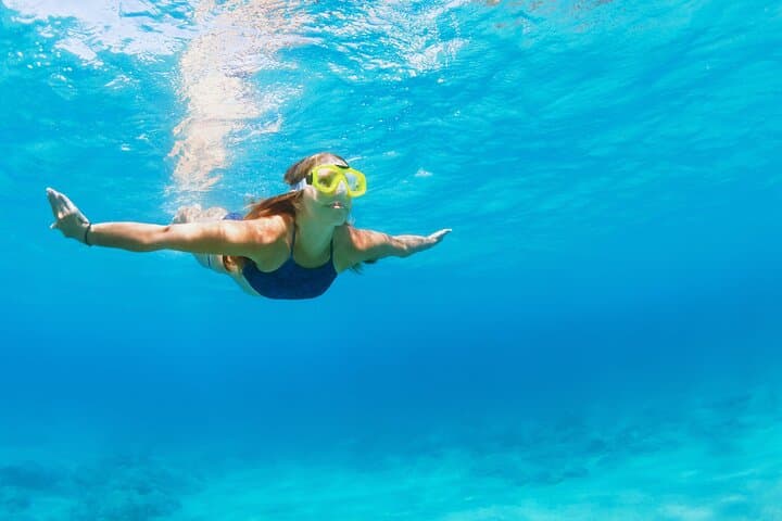 Destin Snorkel and Dolphin Watching: Catamaran Tour on the Emerald Coast photo 5