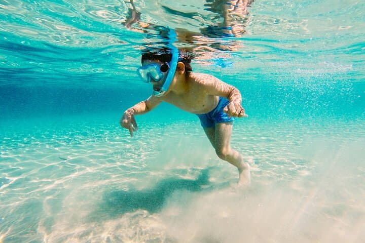 Destin Snorkel and Dolphin Watching: Catamaran Tour on the Emerald Coast photo 3