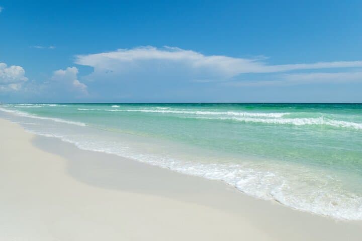 Destin Snorkel and Dolphin Watching: Catamaran Tour on the Emerald Coast photo 6