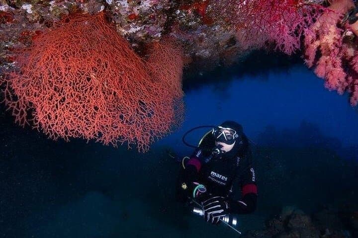 Aqaba Boat Dive & Snorkel: Half-Day Red Sea Trip from Ayla Marina photo 3