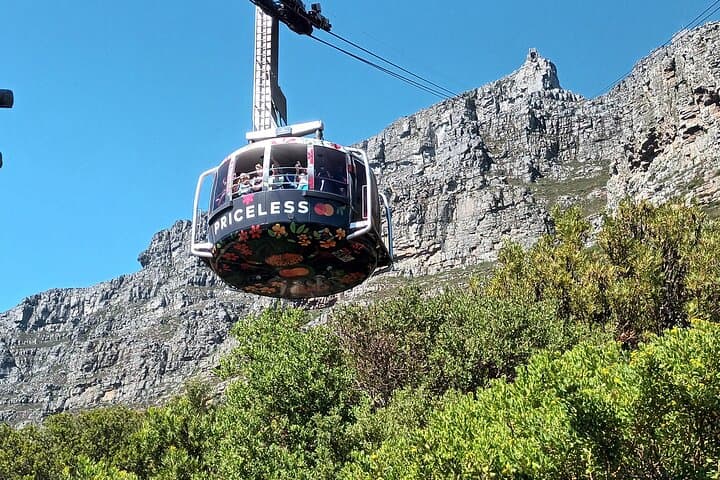 Full-Day Table Mountain Cableway and Robben Island History Tour
