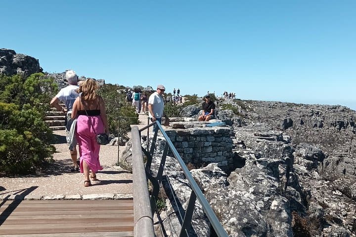 Table Mountain to Cape of Good Hope: Full-Day Cape Peninsula Tour with Penguins photo 4