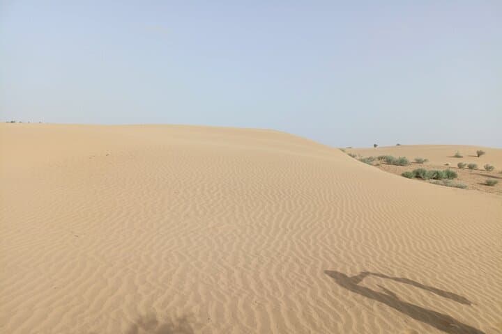 Overnight Camel Safari in the Thar Desert — Jaisalmer Sand Dune Adventure photo 5