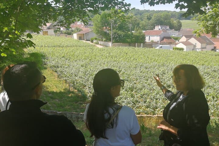 Full-Day Private Champagne Tasting in Reims and the Vineyards from Paris photo 5