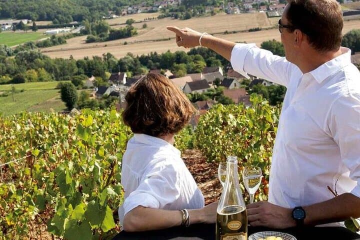 Full-Day Private Champagne Tasting in Reims and the Vineyards from Paris photo 2