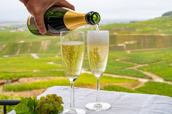 Full-Day Private Champagne Tasting in Reims and the Vineyards from Paris