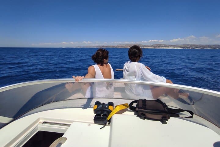 Dolphin Watching in Porto Empedocle: 4-Hour Research Cruise with Biologists photo 2